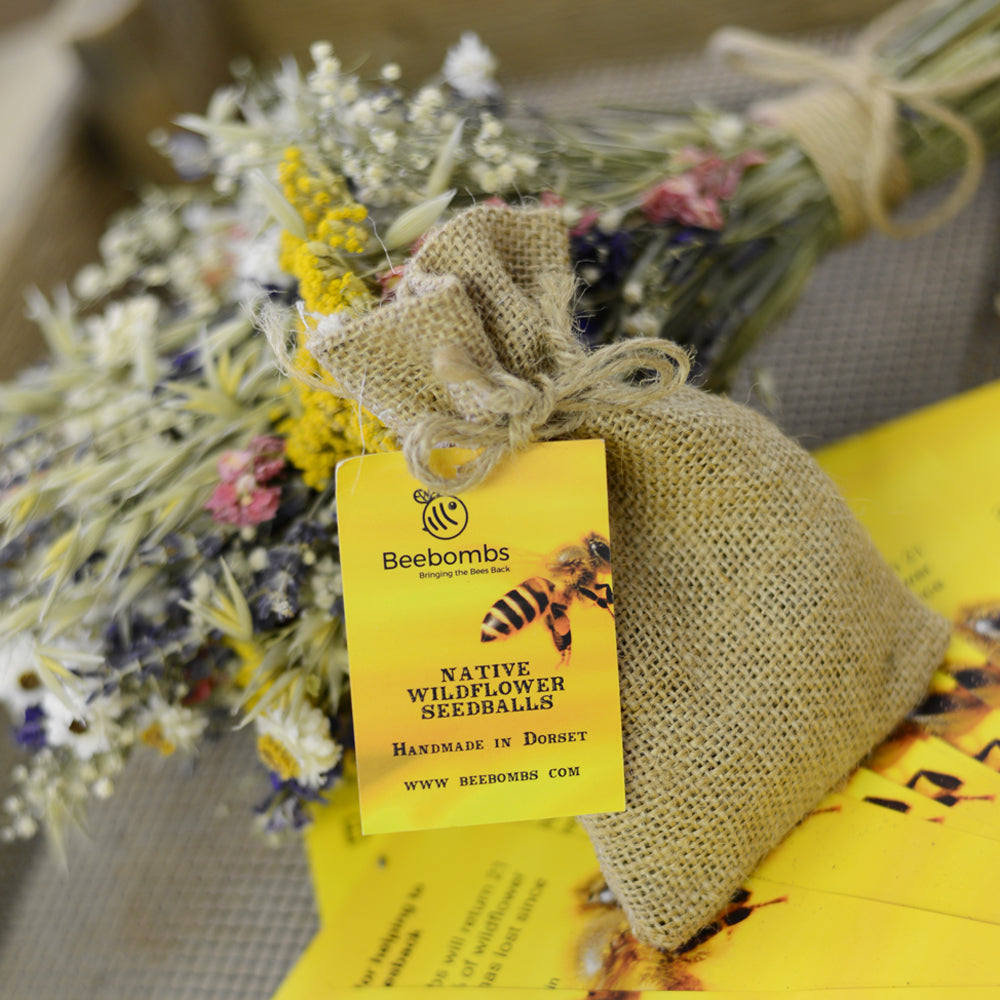 Native Wildflower BeeBombs