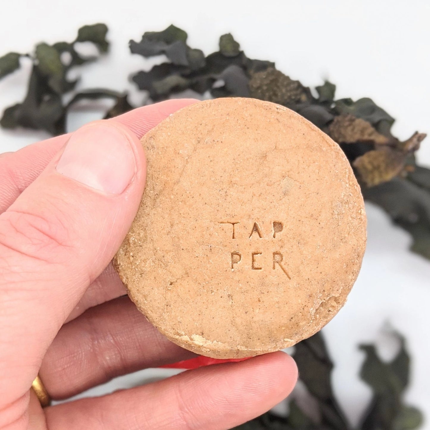 Solid shampoo bar