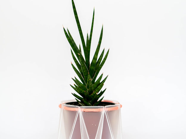 Self-watering,origami,recycled plant pots