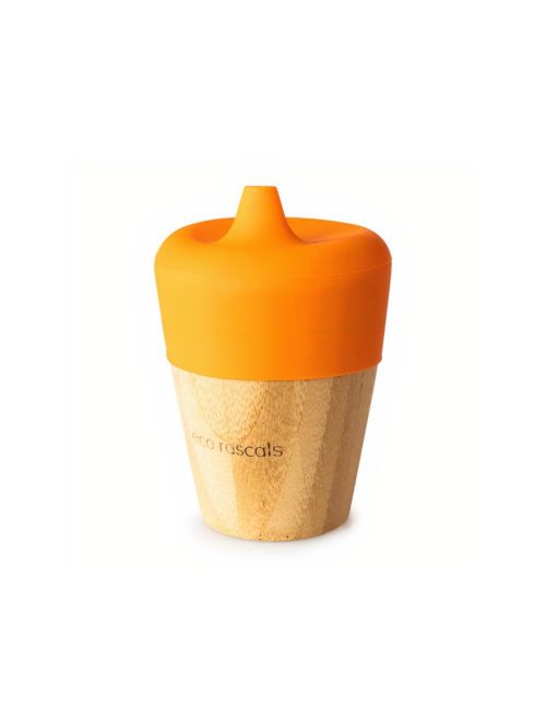 Bamboo Sippy Cup