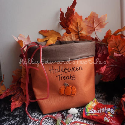 Re-usable Halloween Treat Bags