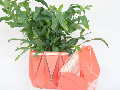 Self-watering,origami,recycled plant pots